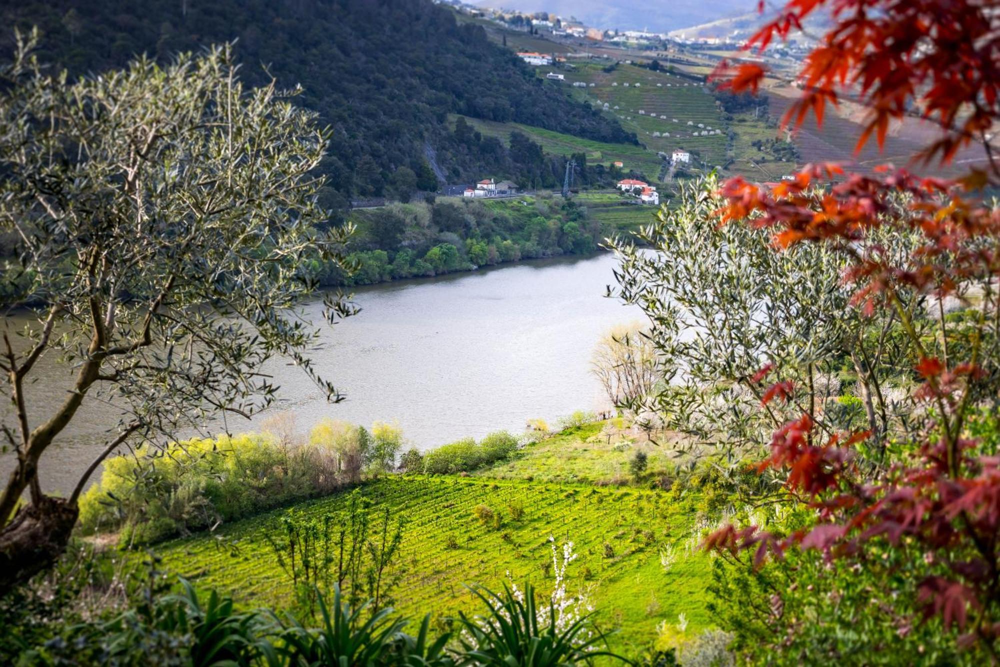 רסנדה Fraga Douro House, Douro Valley מראה חיצוני תמונה